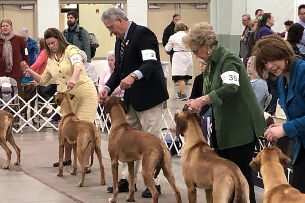 people holding their dog