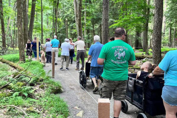 cook-forest-sensory-trail_pc-visitpago_0