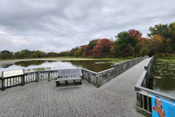 john-heinz-national-wildlife-refuge-at-tinicum_pc-john-heinz-national-wildflife-refuge-at-tinicum-via-facebook