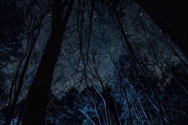 sproul-state-forest_pc-shawngrenningerphotography-via-instagram