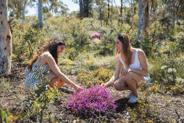 Two girls amongst wildflowers near Toodyay in the Avon Valley