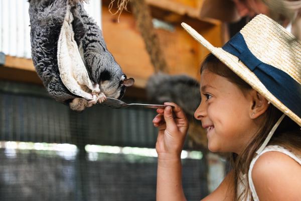 A little girl interacting with a small animal at Ranger Red's Zoo & Conservation Park.