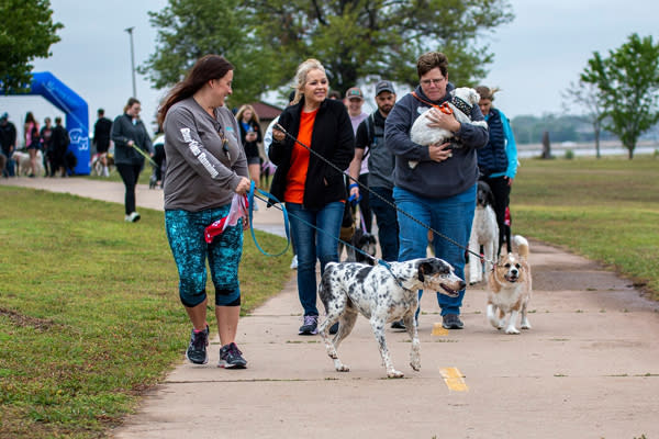 People walking their dogs at Walk n Wag in Stillwater, OK