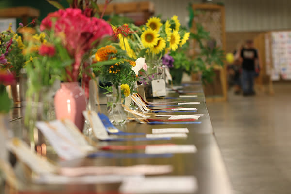 County Fair Flowers