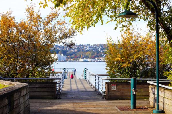 Gene Coulon Waterpath Fall