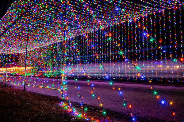 Festival of Lights