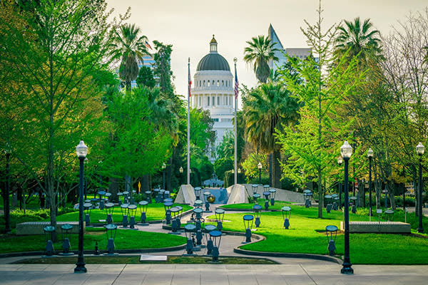 capitol building in sacramento with trees in the foreground