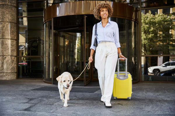 Dog-friendly hotel
