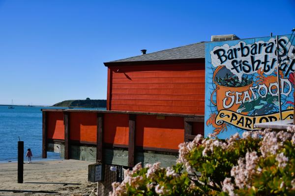 Barbara's fishtrap