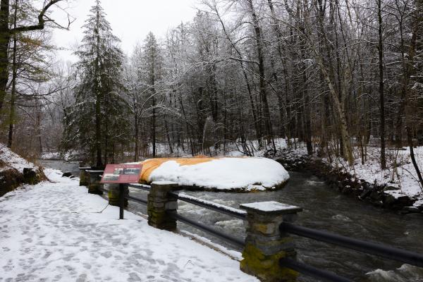 mineral spring in winter