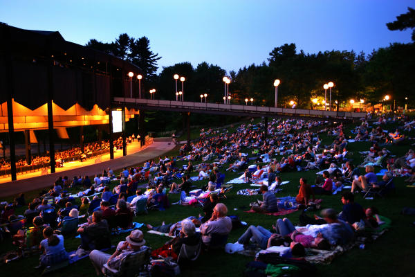Crowd sitting in the lawn at SPAC during concert