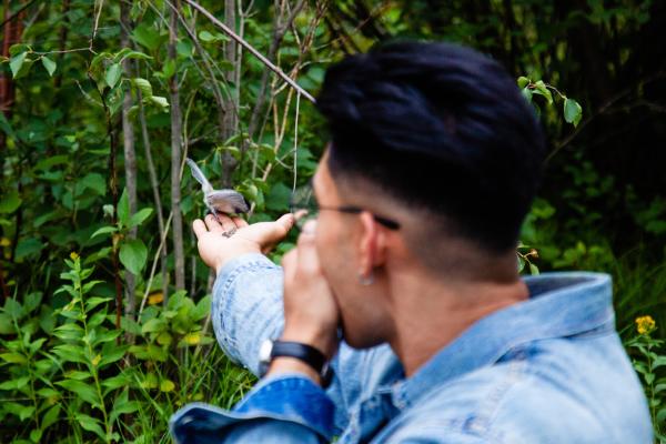 Bird feeding