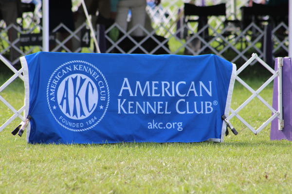 blue American Kennel Club banner hanging on a white fence