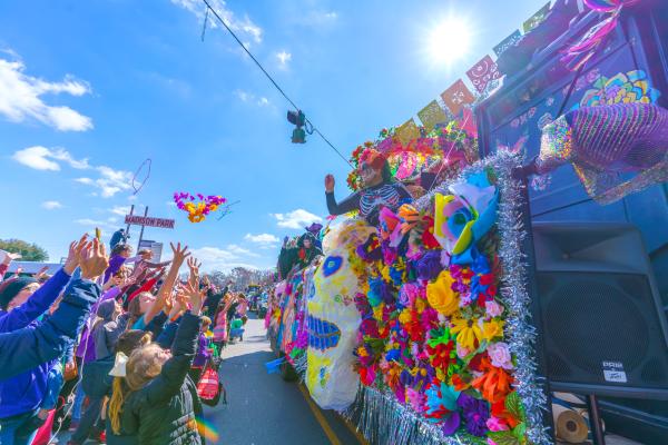 mardi gras highland parade