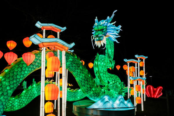 Zoo Luminate Dragon