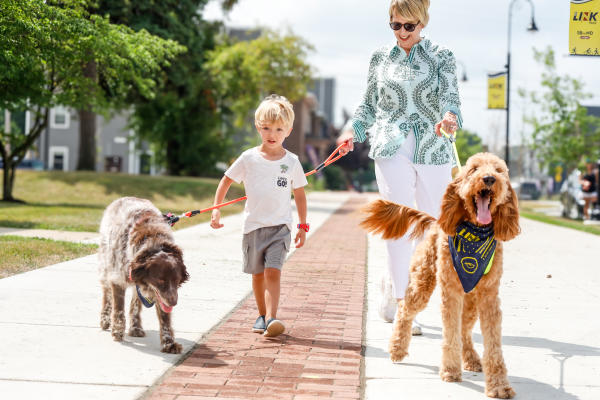 The Link dogs