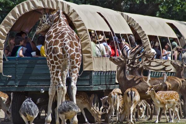 Get eye to eye with the animals at Global Wildlife Center