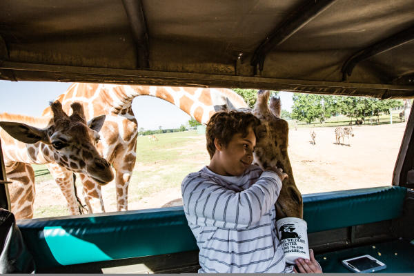 A boy feeding Giraffes at St. Tammany's Global Wildlife Center in Folsom, LA