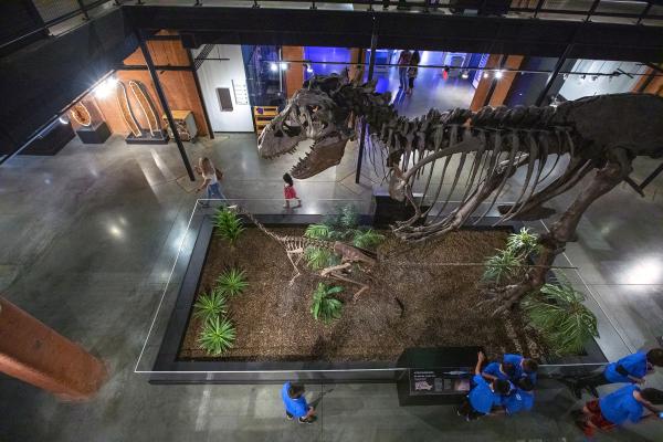 Houston Museum of Natural Science at Sugar Land