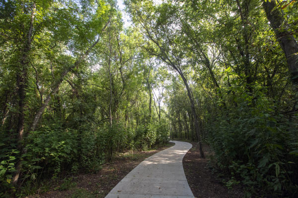 Paved walking trail at Cullinan Park.