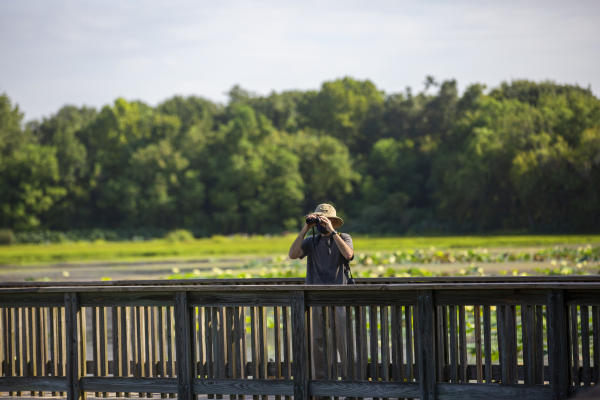 green area with man wearing binoculars at park