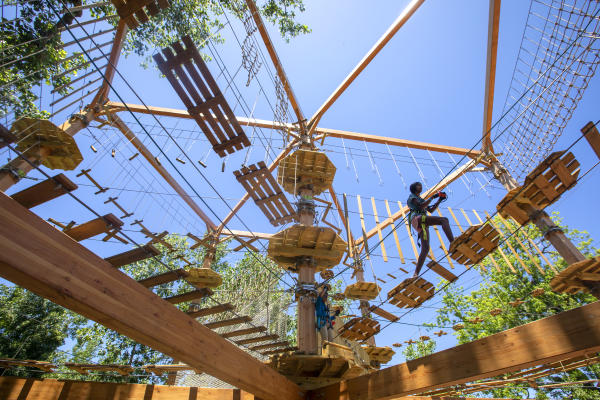 Obstacle Course at Go Ape Zipline and Adventure Park