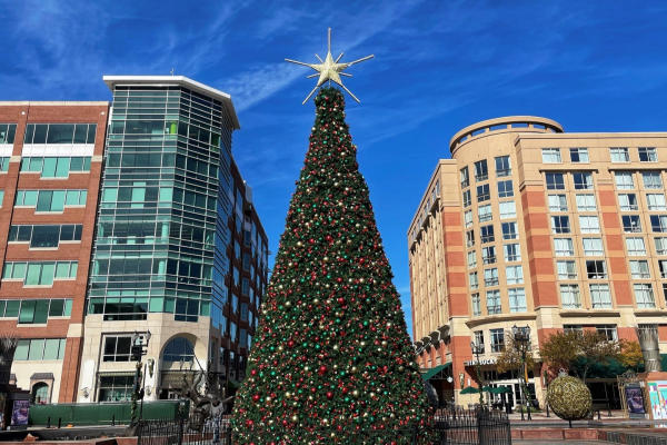 Christmas tree on the plaza at Sugar Land Town Square.