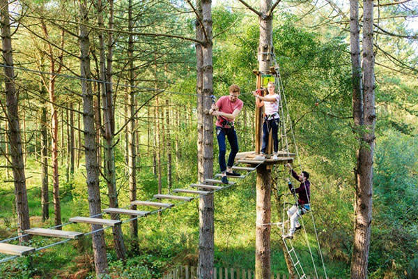 People on a treetop assault course.
