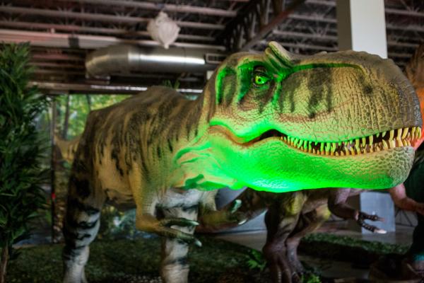 Big Dino at Jurassic Quest