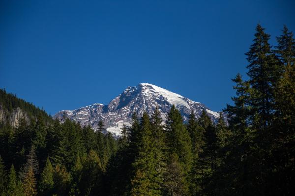Trail of the Shadows at Longmire in Mount Rainier National Park