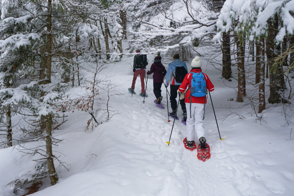 snowshoeing outdoor winter activity