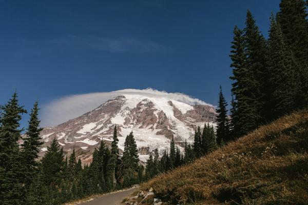 mount rainier national park mountain