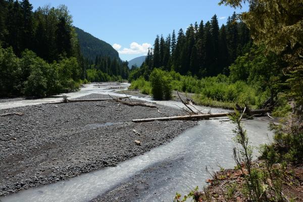 Skookum Flats
