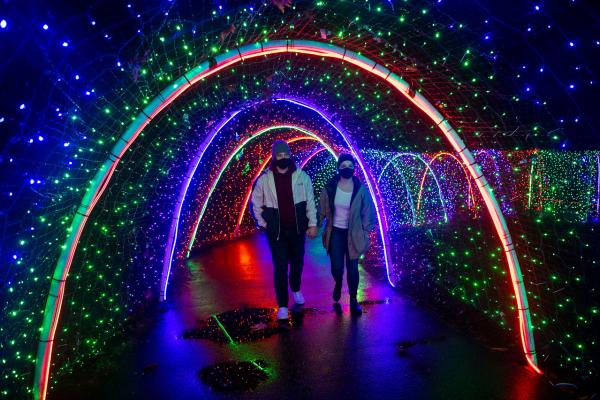 Zoolights 2020