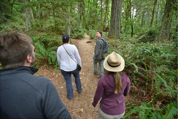 drop in hikes point defiance