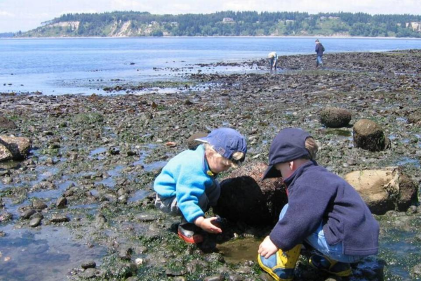 explore the shore metro parks tacoma