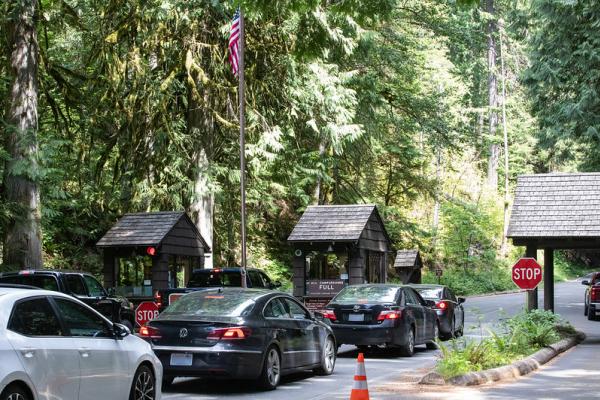 line at mount rainier entry requirements passes