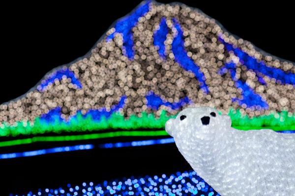 zoolights, Mt. Rainier and Polar Bear