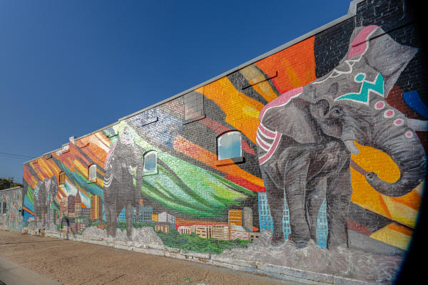 NOTO Elephants Mural Kaw River Rustics
