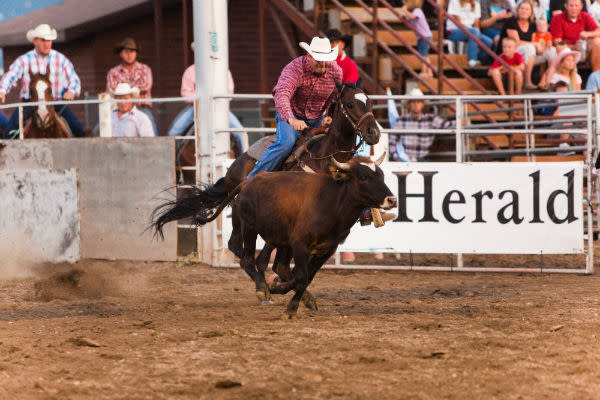 Spanish Fork Rodeo 2