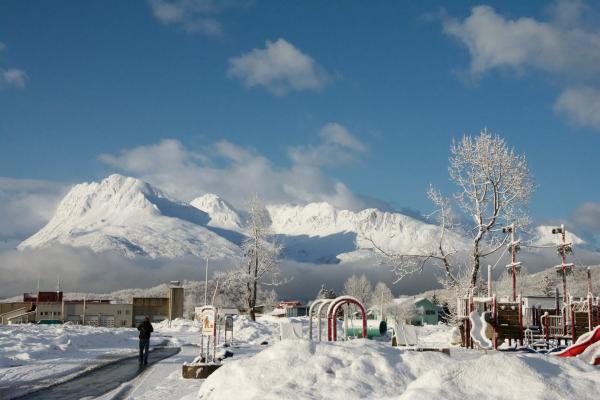 snow capped mountains and a park in a snowy downtown