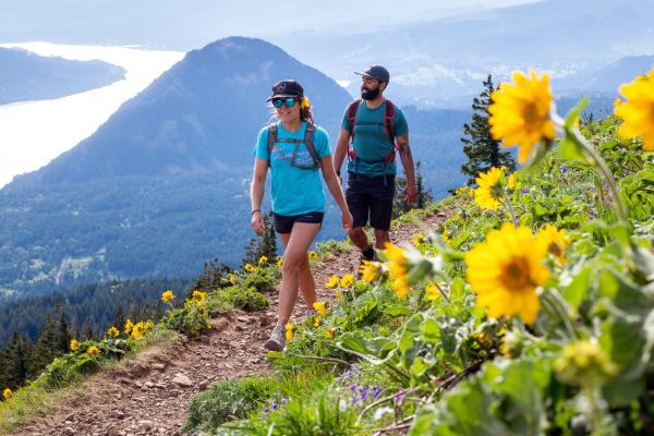 Dog Mountain wildflowers
