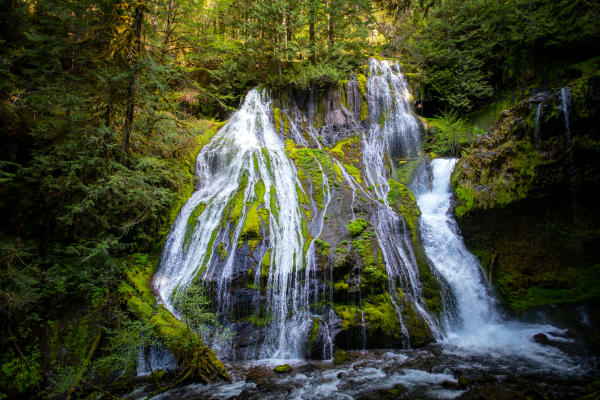Panther Creek Falls