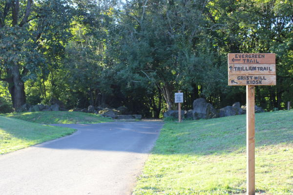 Evergreen Trail at Columbia Springs