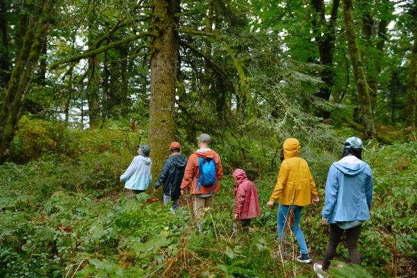 Hiking in the Forest