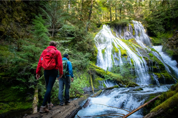 Pather Creek Falls