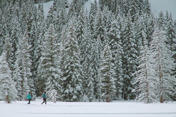 Two people walking along a snow-covered trail surrounded by evergreen trees freshly powdered with snow in Vancouver, WA.