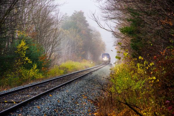 Amtrak train moves through Vermont fall foliage.