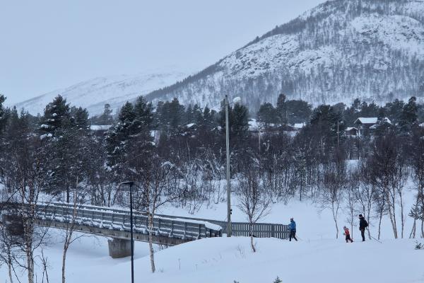 snø og bru