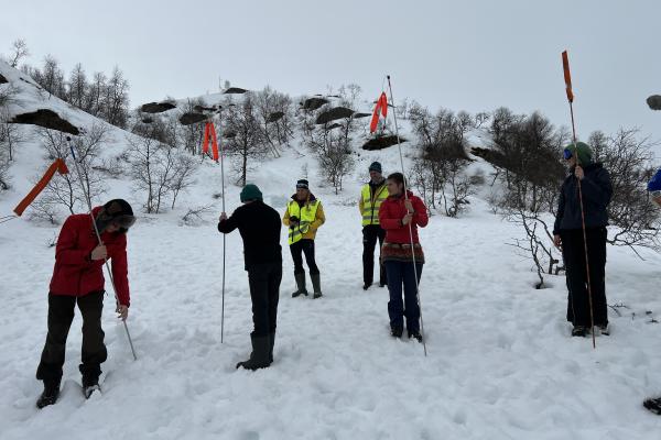 mennesker i snø